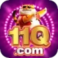11q VIP v1.6.9