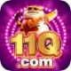 11q VIP v1.6.9